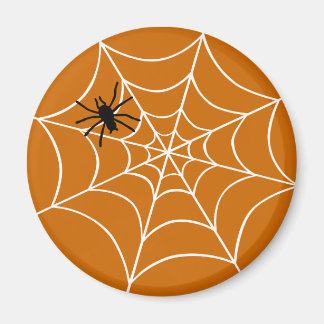 Aimant Spider Web