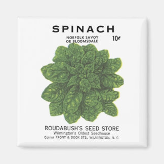 Aimant Spinach, magasin de semences de Rodabush