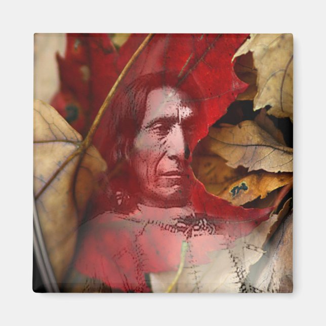 Aimant spirales foliaires par gregory gallo (Devant)