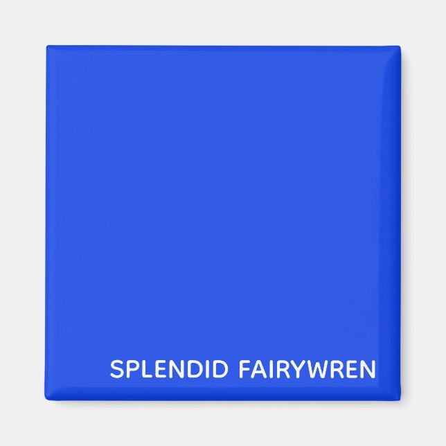 Aimant Splendid Fairywren Blue Colour (Devant)