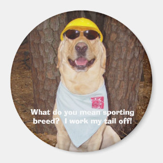 Aimant Sporting Breed ?