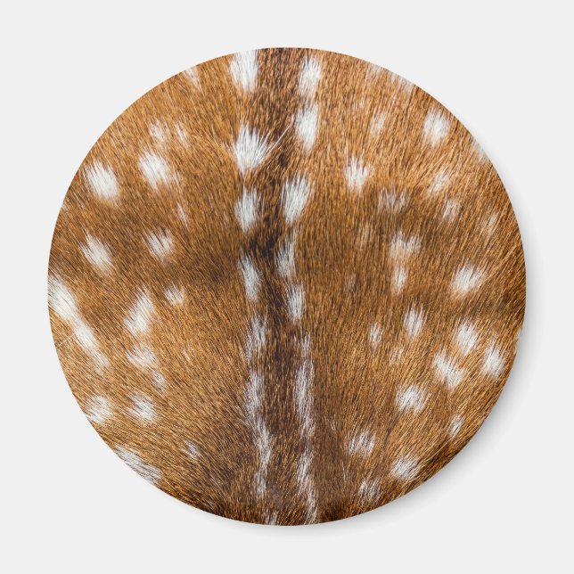 Aimant Spotted deer pour texture (Devant)