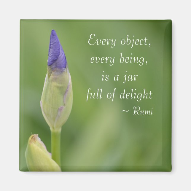 Aimant Spring Iris (Devant)