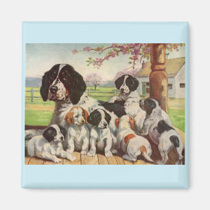 Aimant springer spaniel maman et chiots