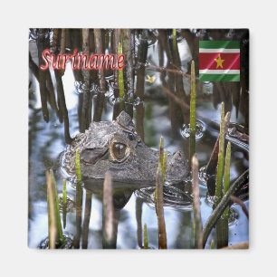 Aimant SR - Suriname - Bigi-Pan kaaiman