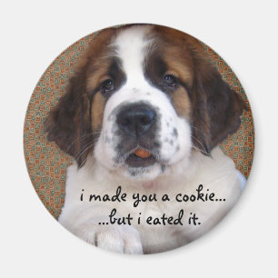 Aimant St Bernard Puppy Cookie