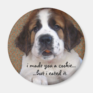 Aimant St Bernard Puppy Cookie