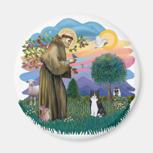 Aimant St Francis (ff) - Chat noir et blanc