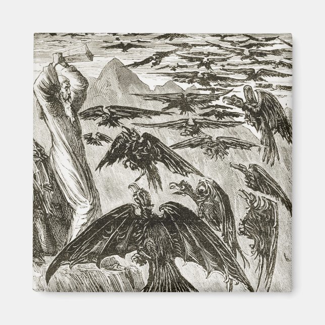 Aimant St. Patrick et les oiseaux démons, de 'The Trias T (Devant)