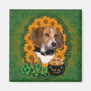 Aimant St patrick - pot d'or - beagle