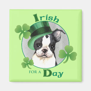 Aimant St. Patrick's Day Boston Terrier