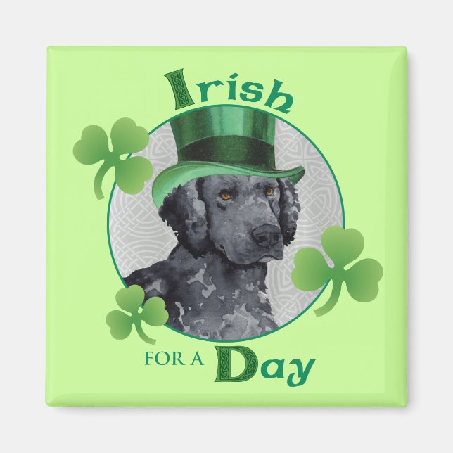 Aimant St. Patrick's Day Curly-Coated Retriever (Devant)