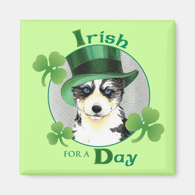 Aimant St. Patrick's Day Husky (Devant)