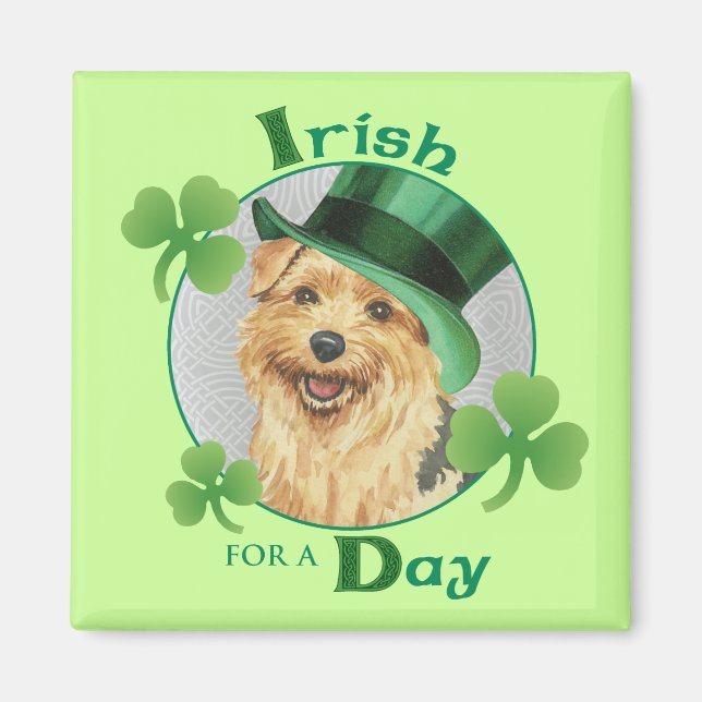 Aimant St. Patrick's Day Norfolk Terrier (Devant)