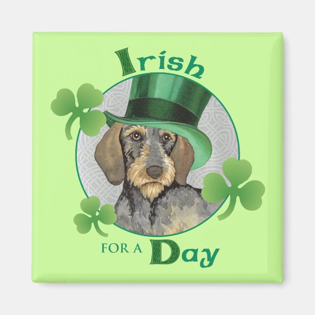 Aimant St. Patrick's Day Wirehaired Dachshund (Devant)