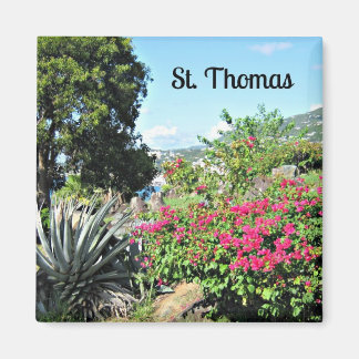 Aimant St. Thomas
