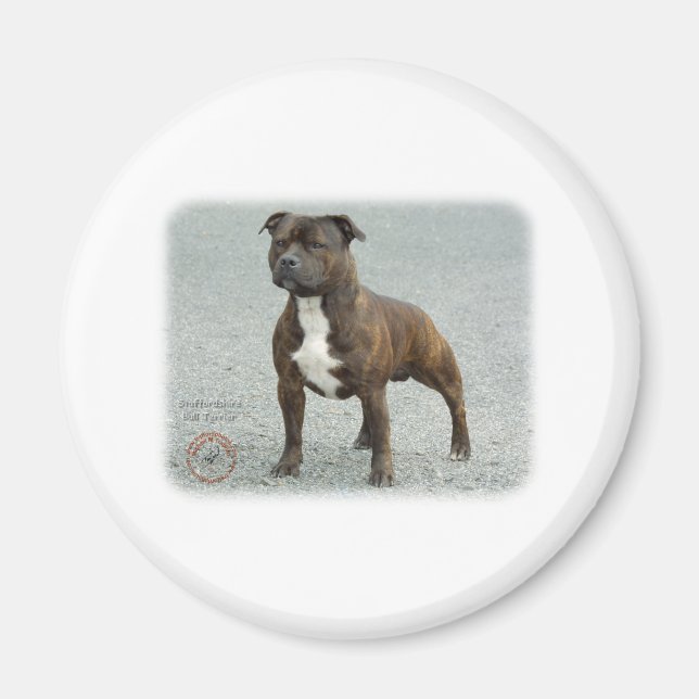 Aimant Staffordshire Bull Terrier (Devant)