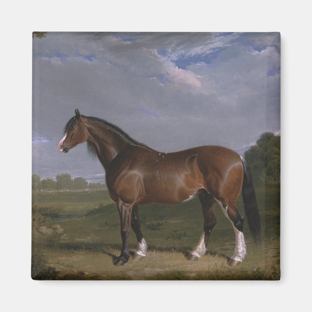Aimant Stallion de Clydesdale (Thoroughbred Horse) (Anima (Devant)