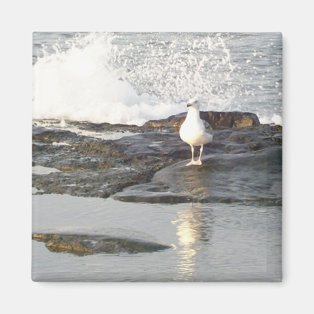 Aimant Stance (Devant)