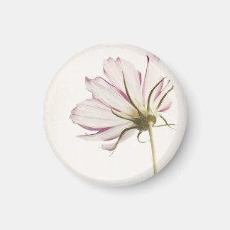 Aimant "Stand in the Light"