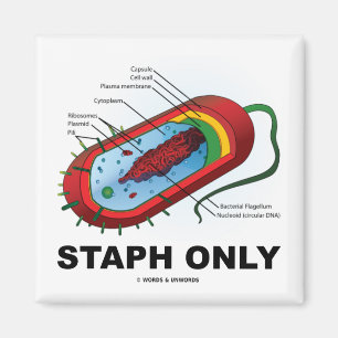 Aimant Staph Uniquement (Humour de médecine de la santé