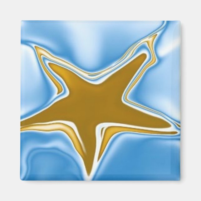 AIMANT STARFISH (Devant)