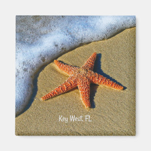 Aimant Starfish, à la plage de Key West, Floride,