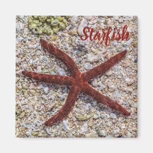 Aimant Starfish Ocean Plage Vintage Souvenir rétro