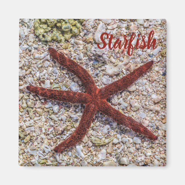 Aimant Starfish Ocean Plage Vintage Souvenir rétro (Devant)