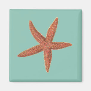 Aimant Starfish - Sherman Denton Fish Lithograph