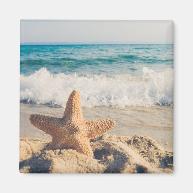 Aimant Starfish sur une plage de sable Photo (Devant)