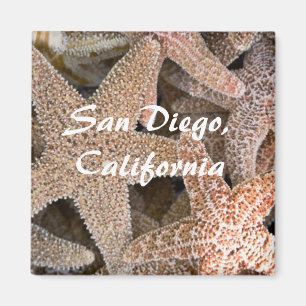 Aimant Starfish tout autour, San Diego, Californie