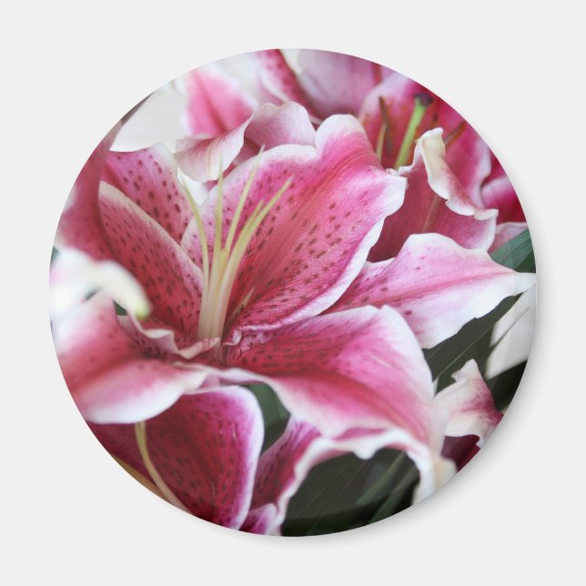 Aimant Stargazer Lily (Devant)