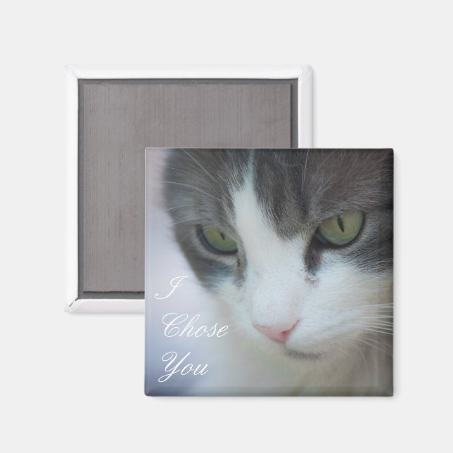 Aimant Staring de chat noir et blanc (Recto/Verso)