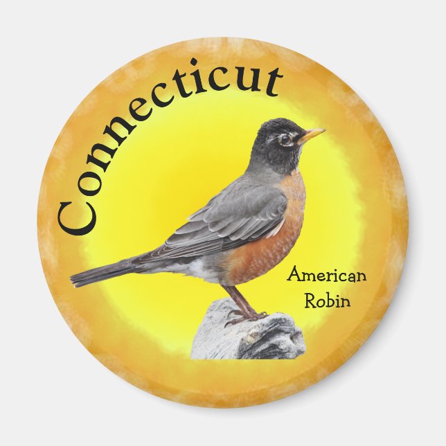 Aimant State Bird of Connecticut (Devant)