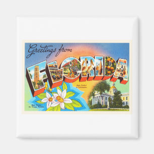 Aimant State Florida FL Vieux souvenir Vintage voyage