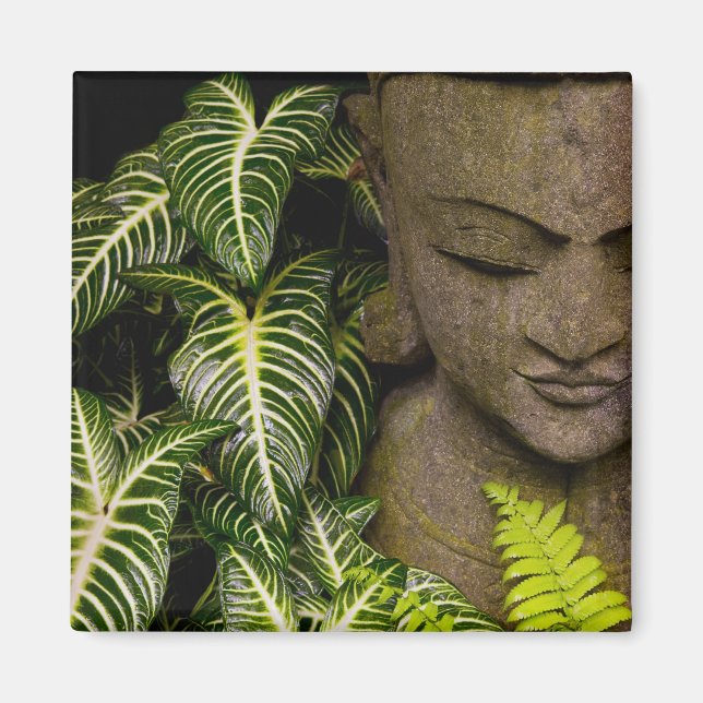 Aimant Statue dans un jardin Information : Chiang Ma (Devant)