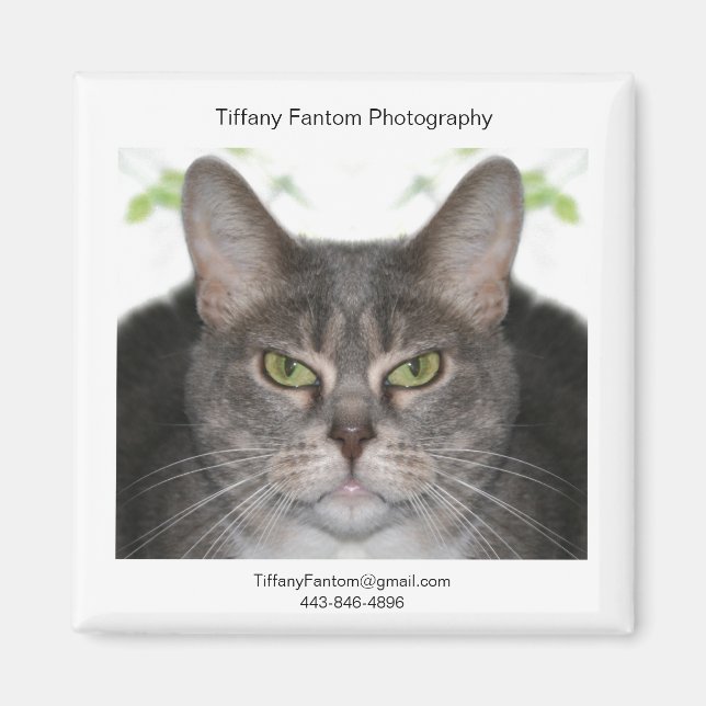 Aimant Stella Promo (Devant)