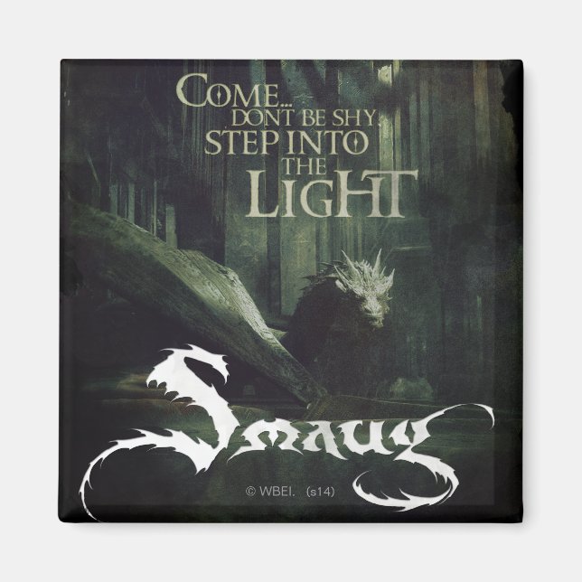 Aimant Step (Devant)