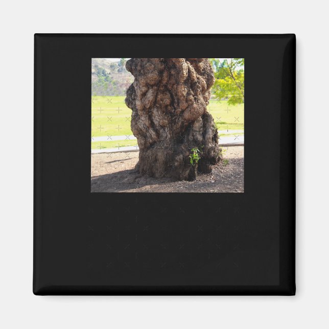 Aimant Sticker pour l'arbre cahoteux de la nature (Devant)