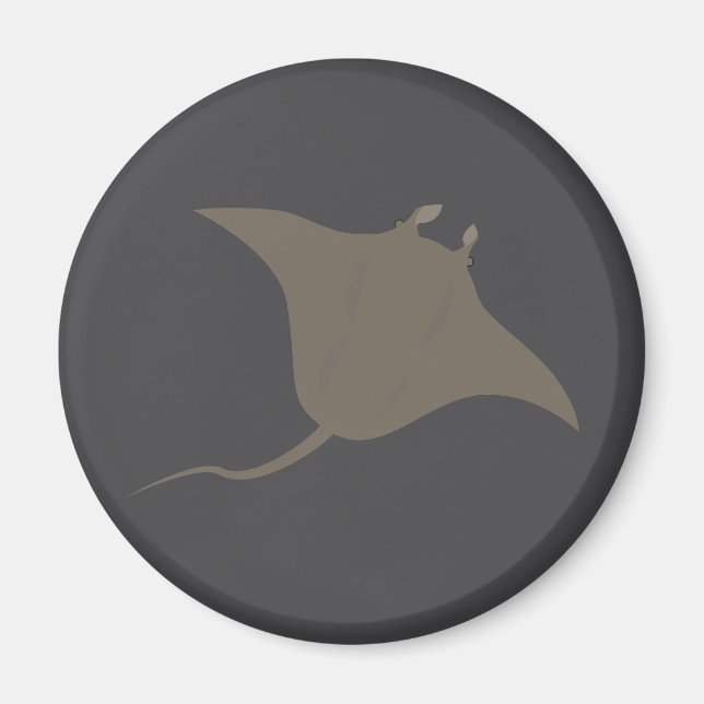 Aimant Stingray (Devant)