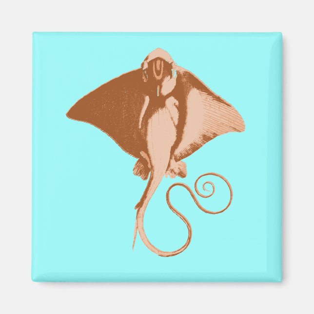 Aimant stingray (Devant)