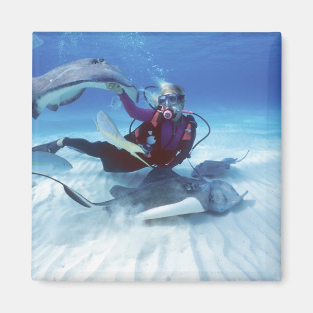 Aimant Stingray City, Grand Cayman, îles Caïmans, (Devant)