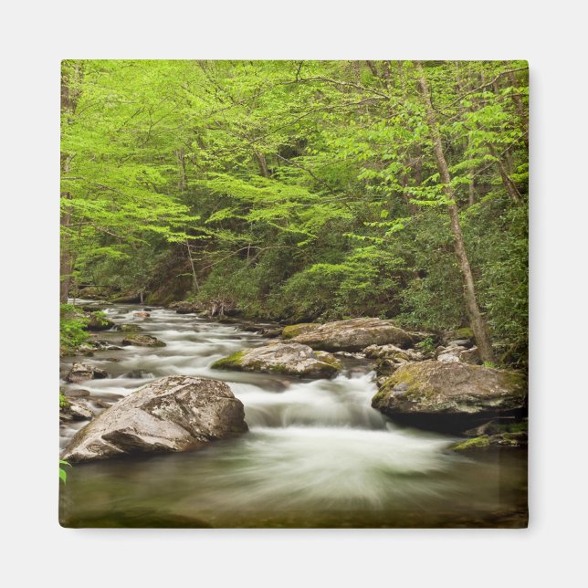 Aimant Straight Fork Flows Through Forest (Devant)