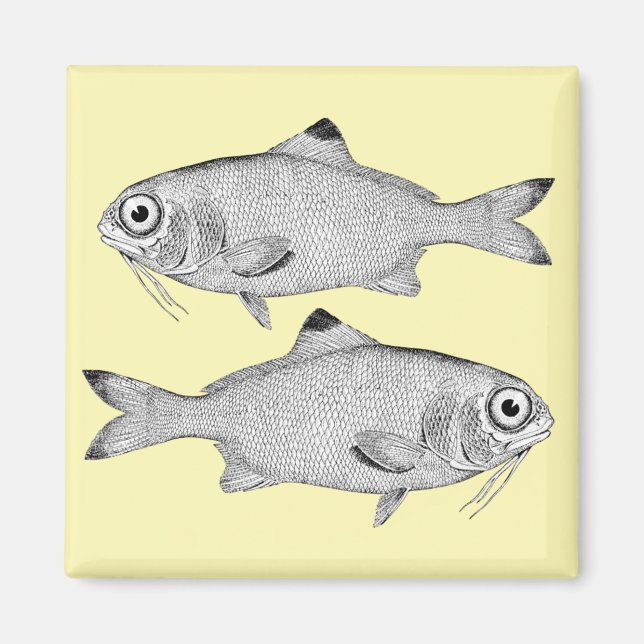 Aimant Strange vintage fish drawing (Devant)
