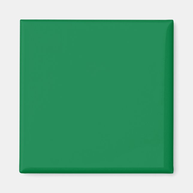 Aimant Strong Spring Green 008040 Color - Ajouter une opt (Devant)