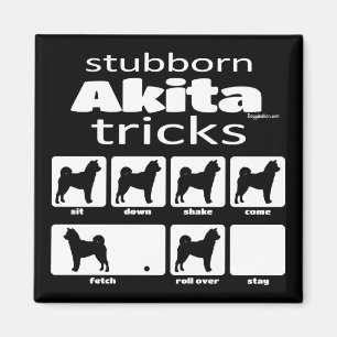 Aimant Stubborn Akita Tricks