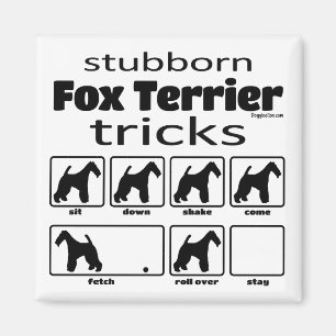 Aimant Stubborn Fox Terrier Tricks
