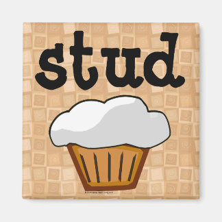 Aimant Stud Muffin