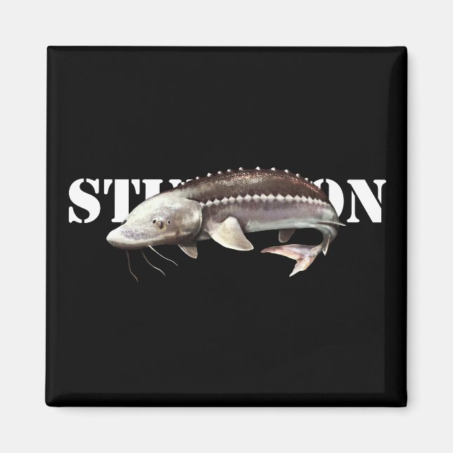 Aimant Sturgeon (Devant)